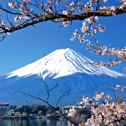 På en privat udflugt får vi udsigt til Mt. Fuji, Japans hellige bjerg
