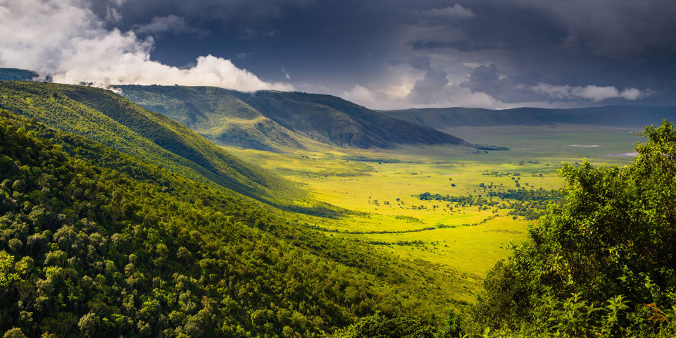 Ngorongoro Landskab