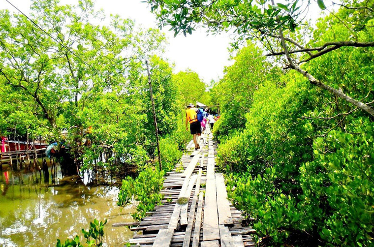 thailand - koh lanta udflugt mangrove_03