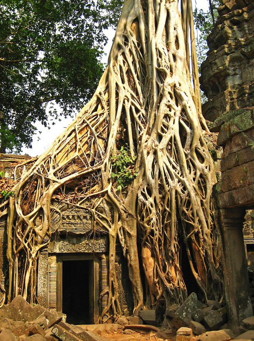 cambodia - siem reap_angkor wat tempel_11_hf