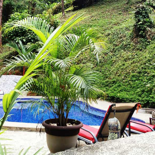 costa rica - Hotel casa corcovado jungle lodge_pool_01