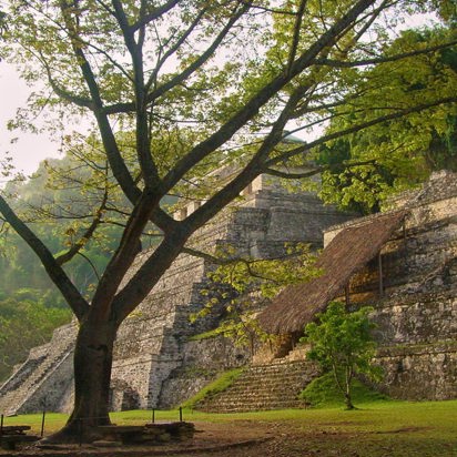 mexico - palenque maya tempel_03