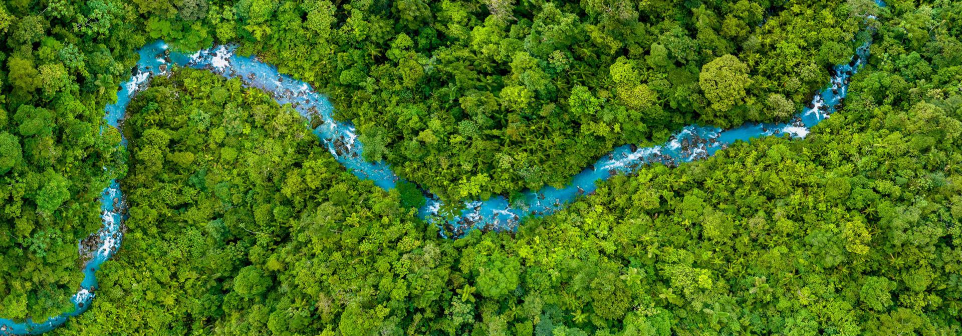 River Landscape Aerial