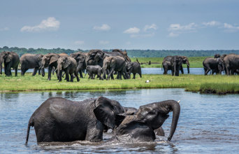 Chobe Boat Cruise01