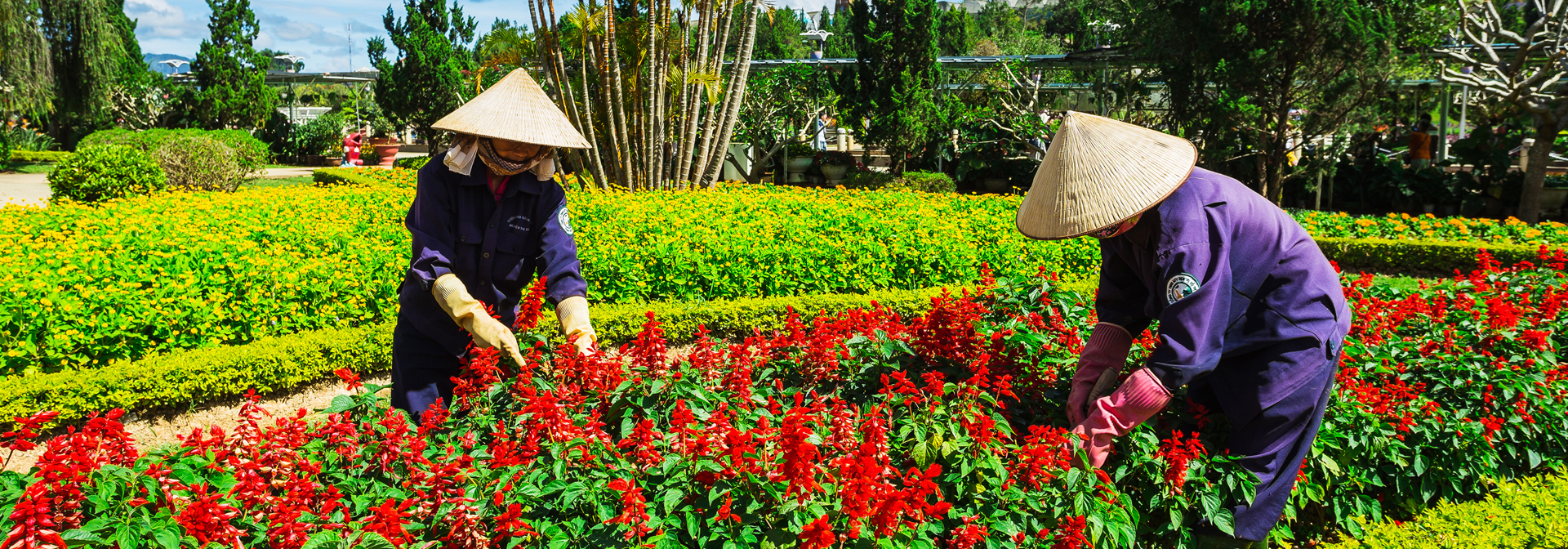 vietnam - dalat_blomstermarked_01