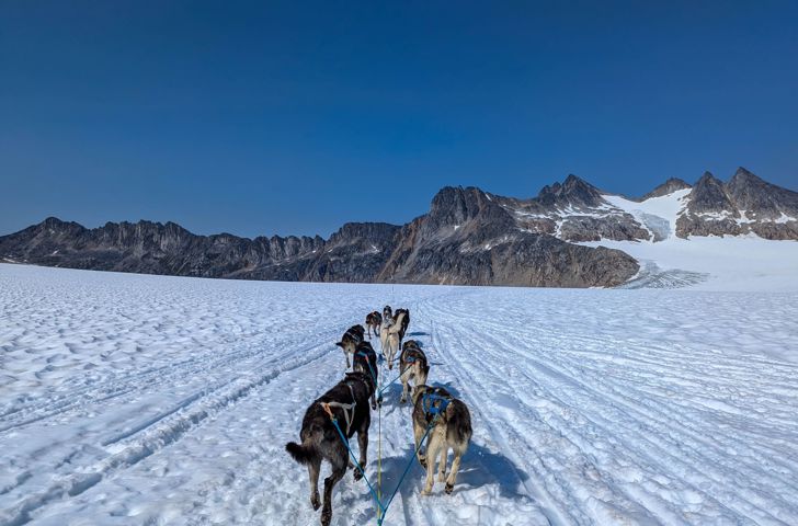 Hundeslæde Paa Gletsjer 2519875251