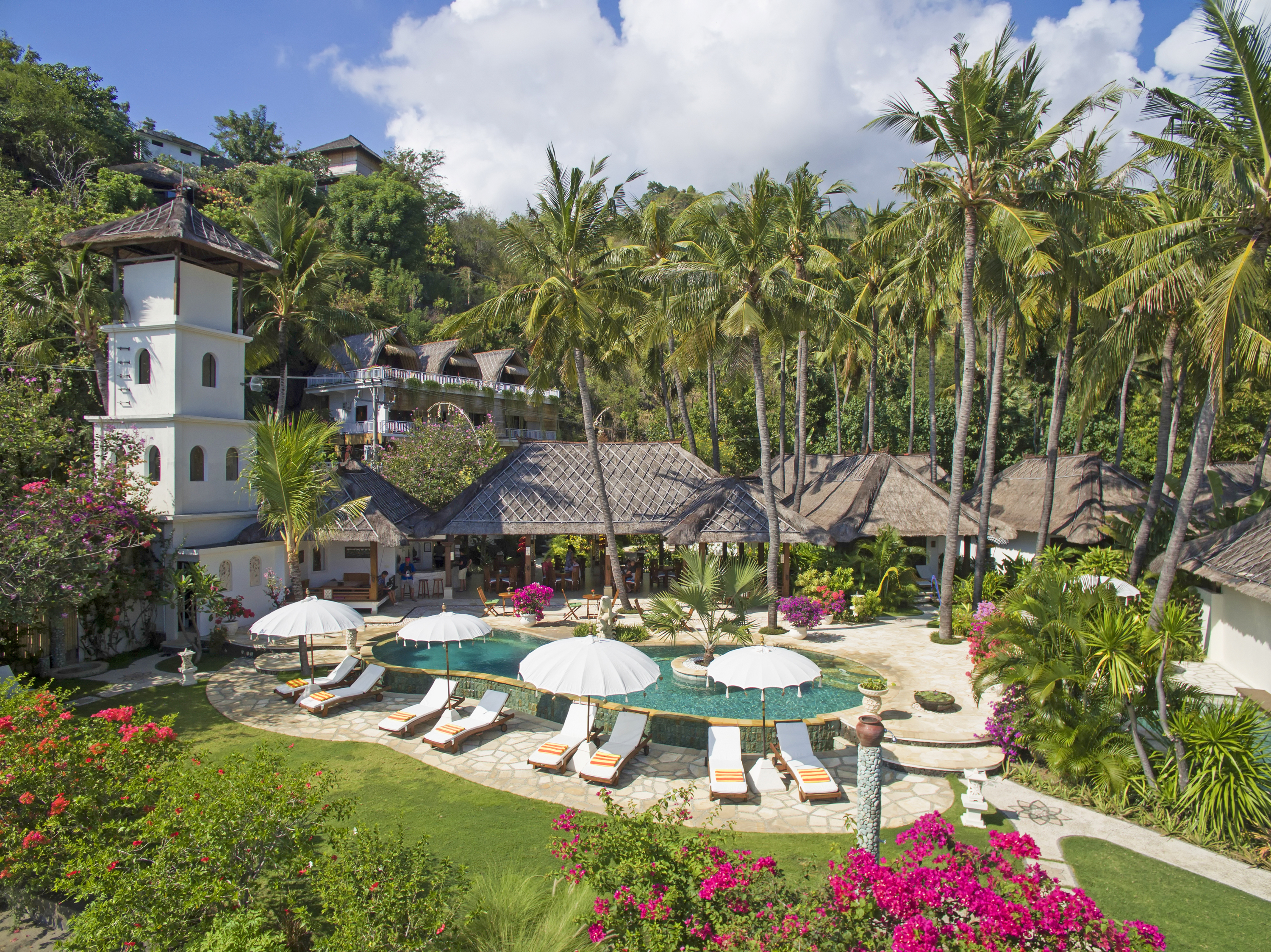 bali - amed - palm garden_pool_10