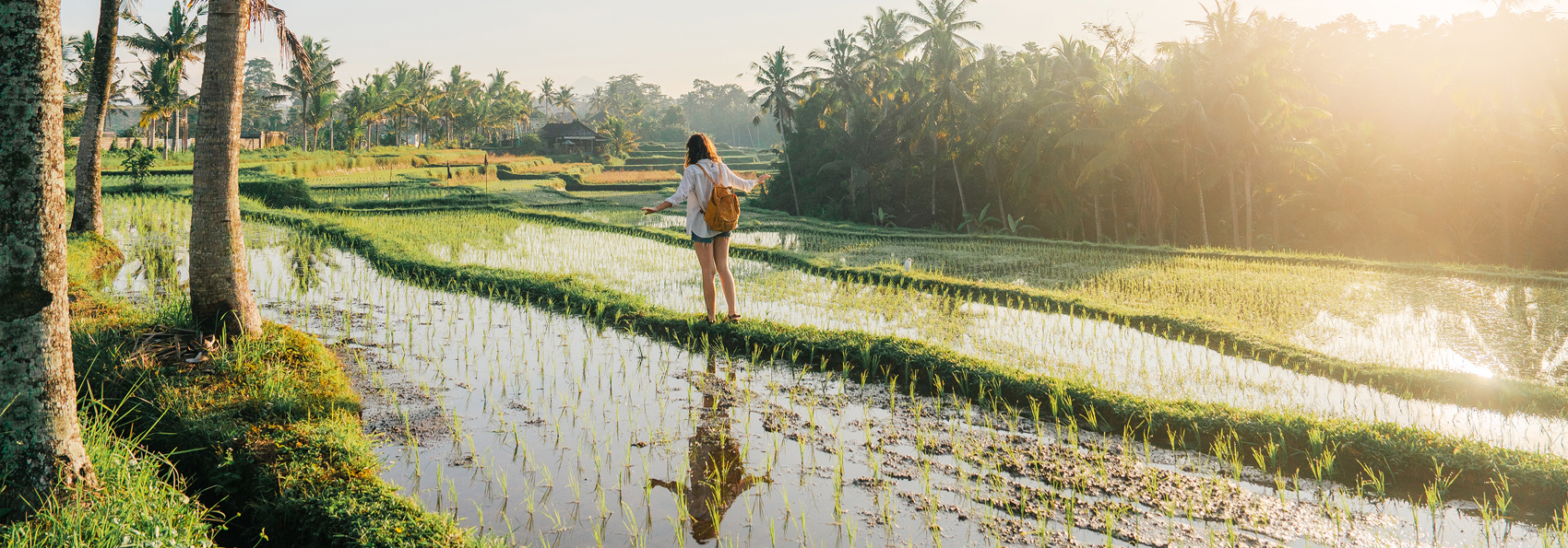 Bali Tegallalang Risterrasser 03