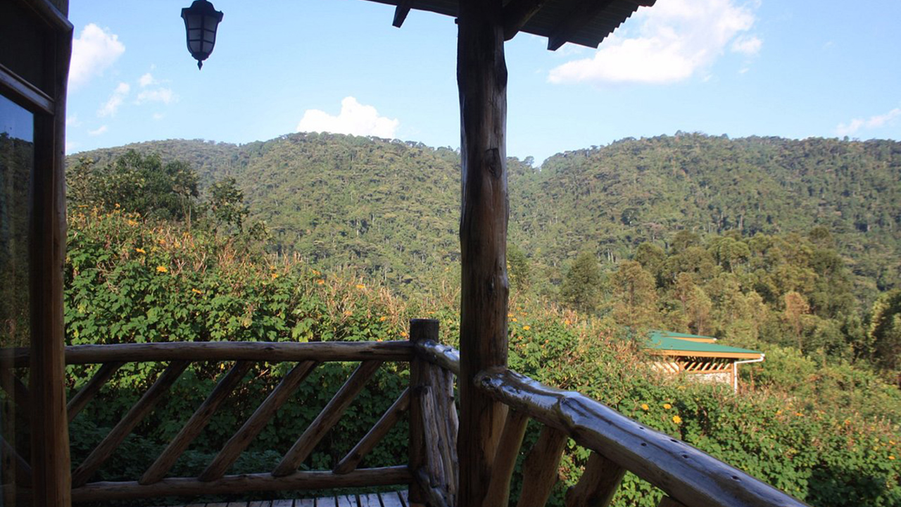 Haven Lodge Buhoma 9