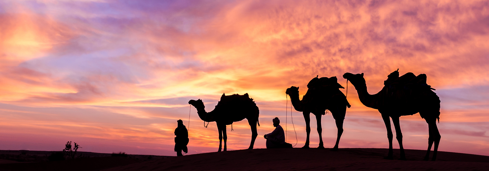 jordan - wadi rum red desert_kamel_08