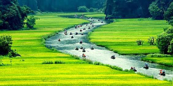 vietnam - ninh binh_flod_01