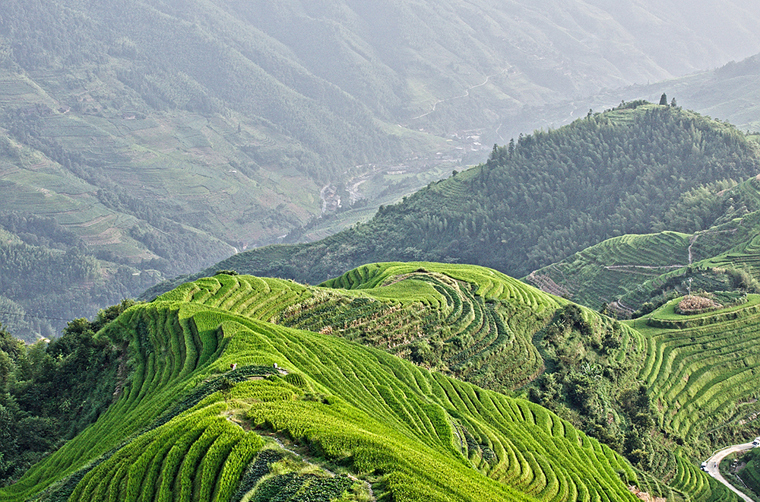 Vietnam - vietnam_rismark_02