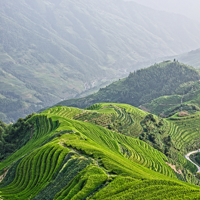 Vietnam - vietnam_rismark_02