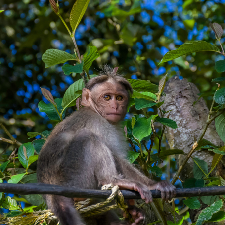 Periyar04