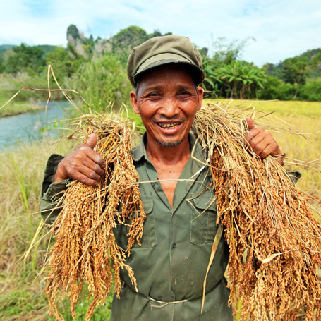 laos - vang vieng_rismark_befolkning_02