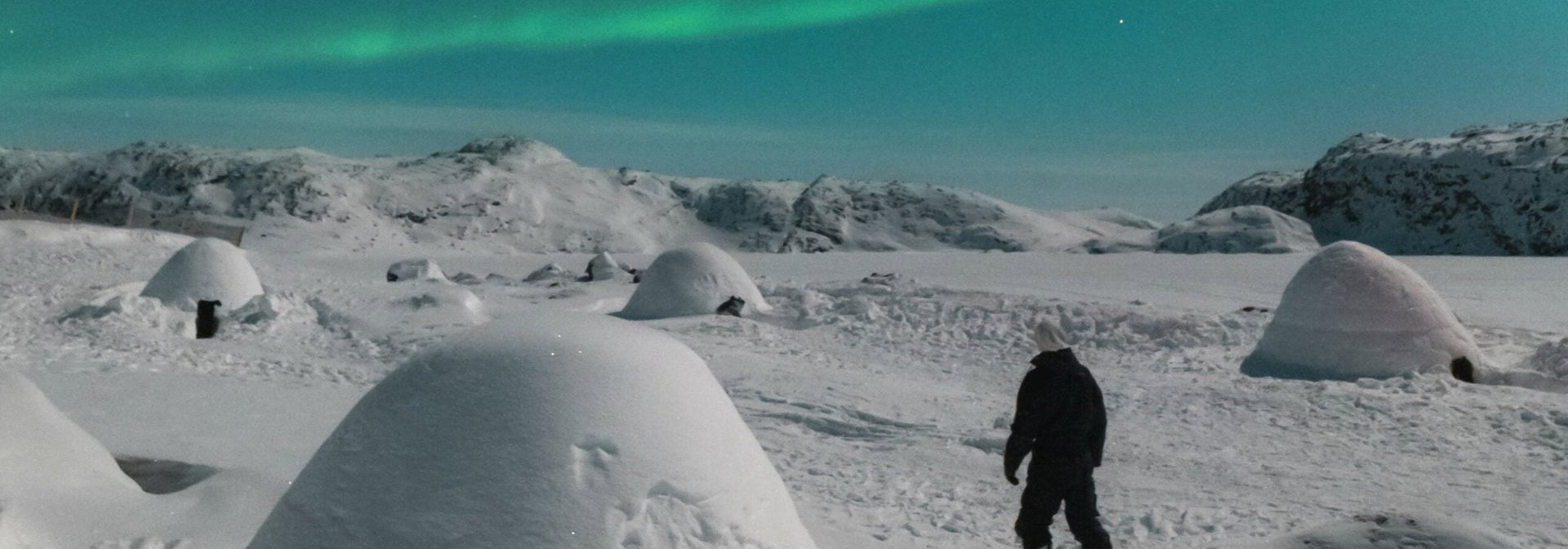 Iglo Logde Hotel Udendørs Nordlys
