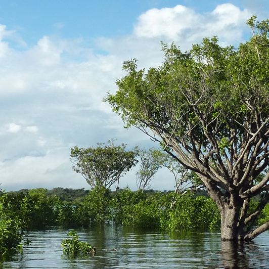 brasilien - brasilien_amazone_flod_01