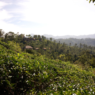 Adam's Peak