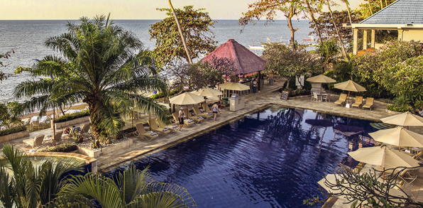 bali - lovina - the lovina_pool_03