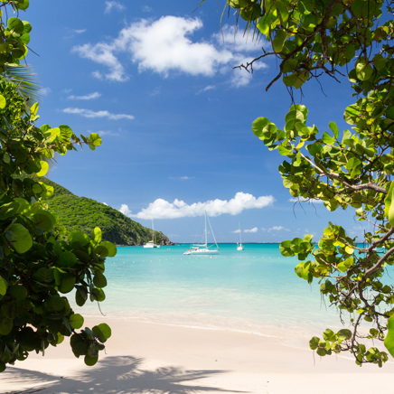 Afgangen i januar sejler videre til St. Maarten, der er en ægte caribisk paradisø.