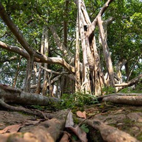 Khao Luang National Park Khanom 01