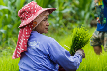 thailand - soppong_shanstamme_02