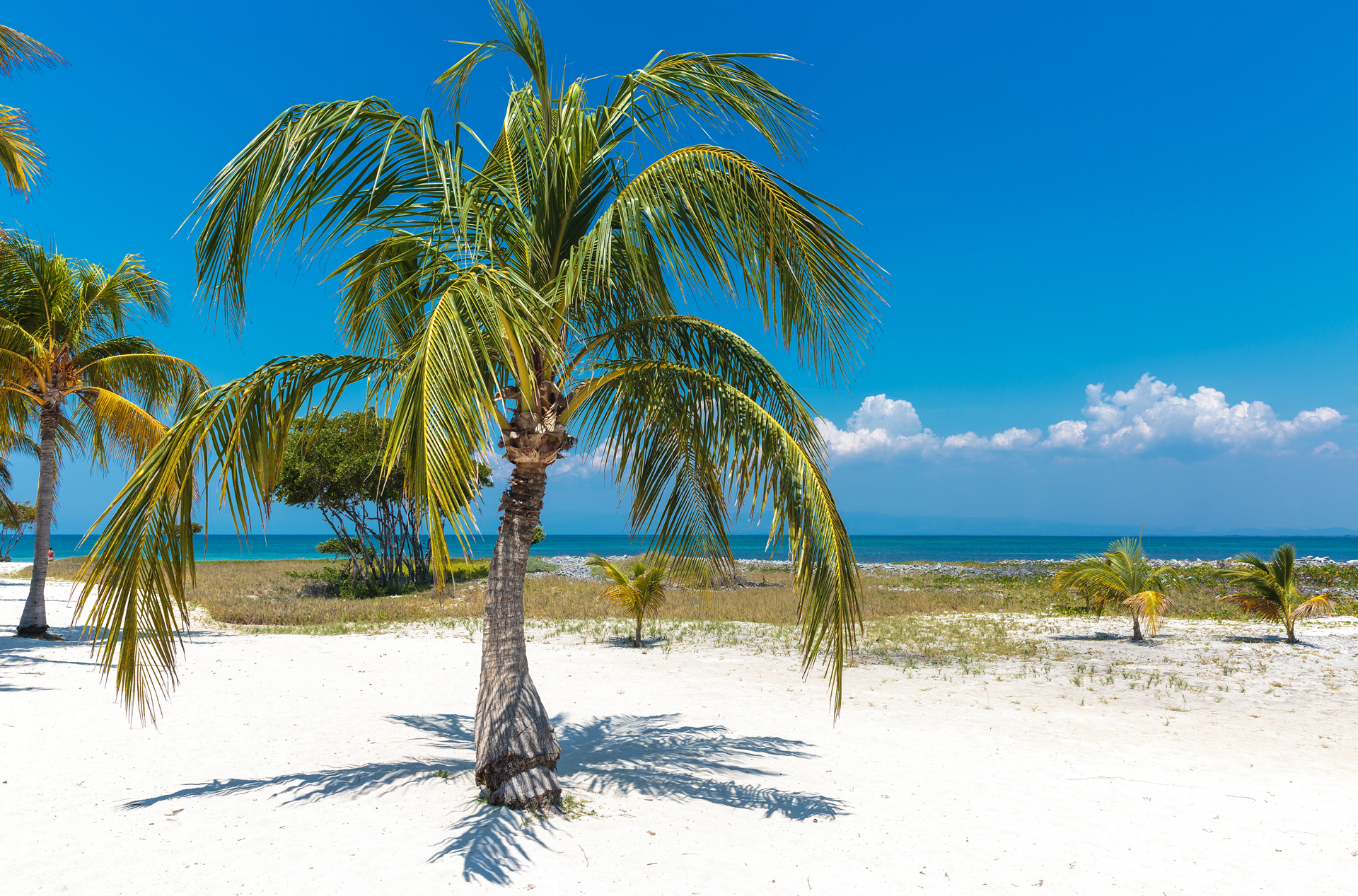 cuba - cayo blanco