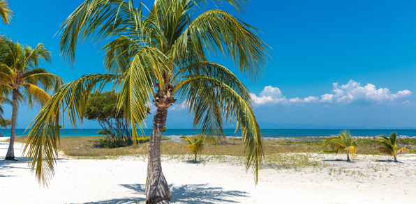 cuba - cayo blanco
