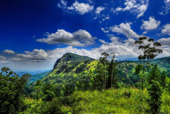 sri lanka - morning dew_10