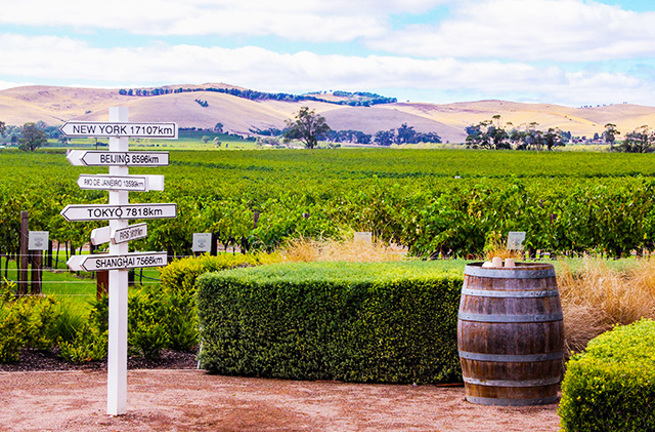 australien - adelaide_barossa_vintur_01