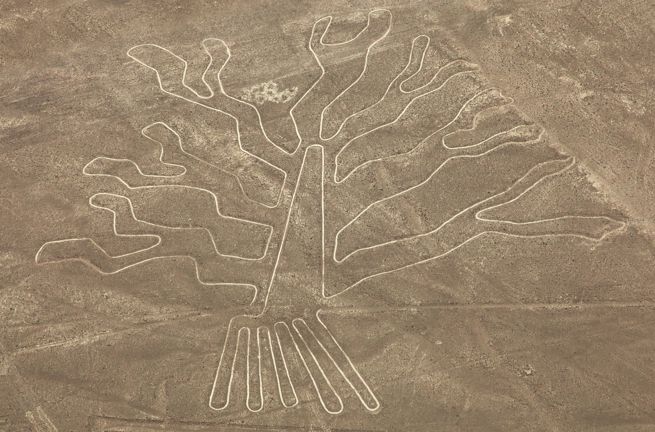 Nazca Linjerne Peru Træet 1413841157