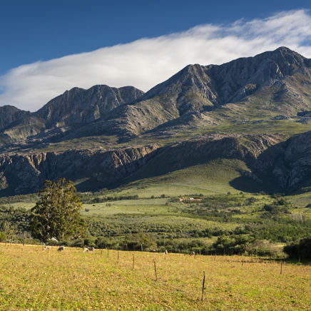 Swartberg Bjerge 01