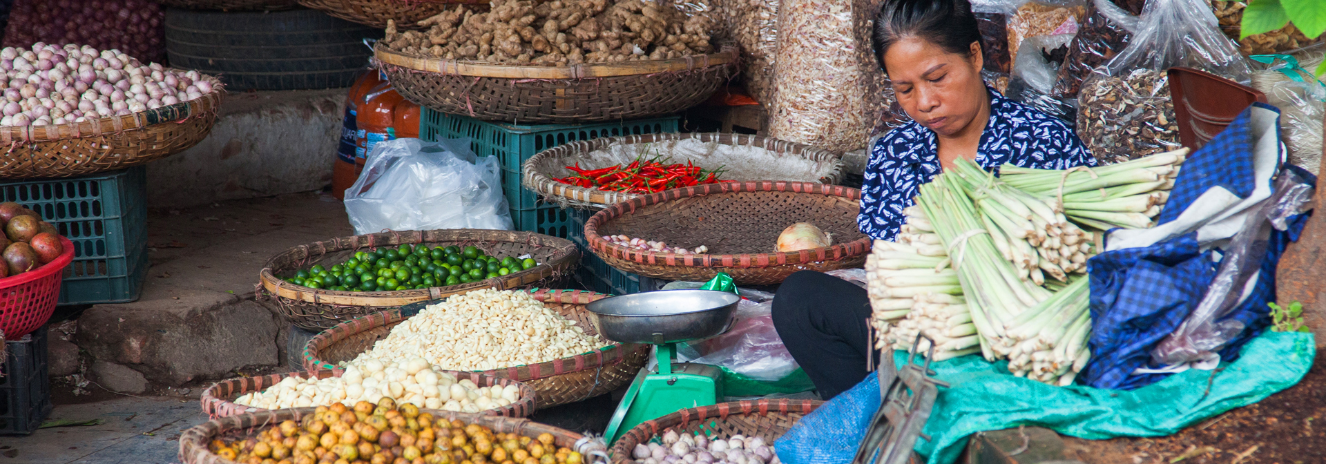 vietnam - hanoi_befolkning_kvinde_gadesaelger_09