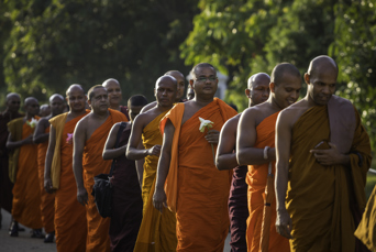 sri lanka - kandy_munke_01
