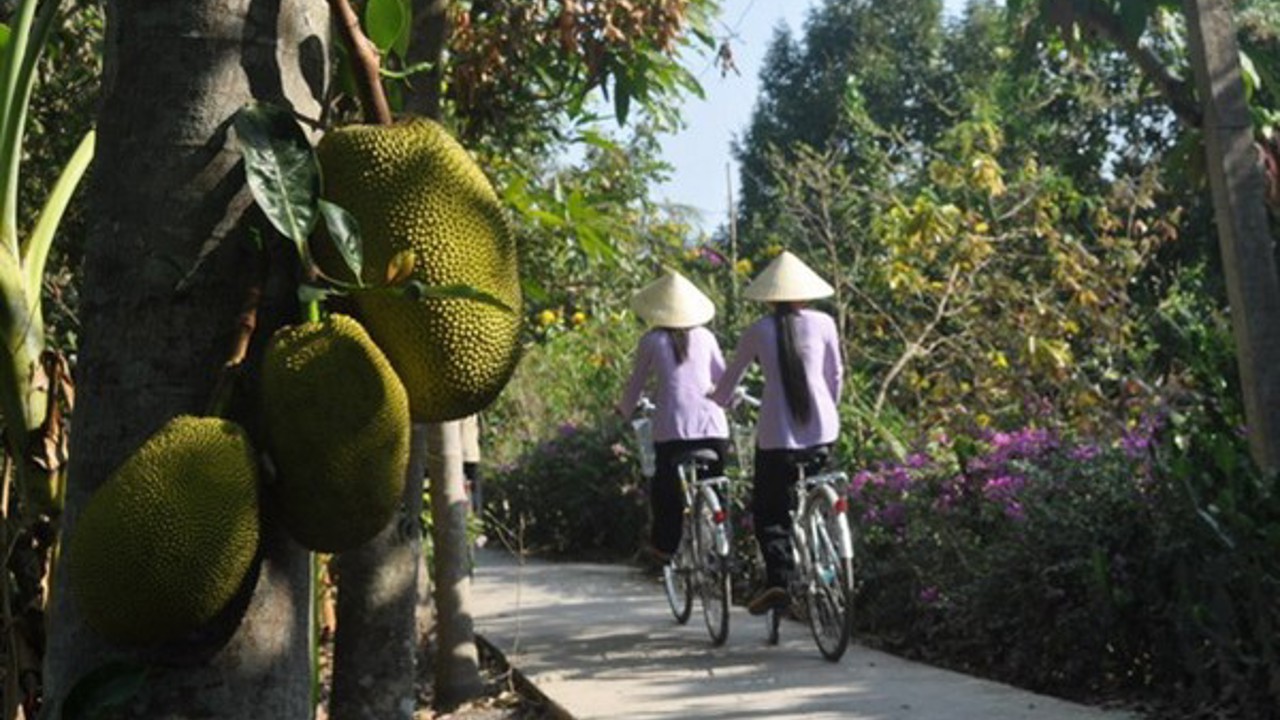 vietnam - mekong logde_piger cyklende