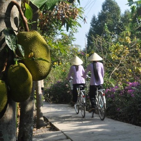 vietnam - mekong logde_piger cyklende