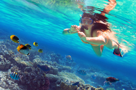thailand - koh lanta_phi phi_udflugt_02