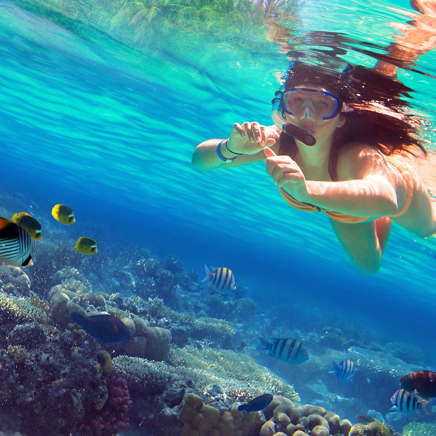 thailand - koh lanta_phi phi_udflugt_02