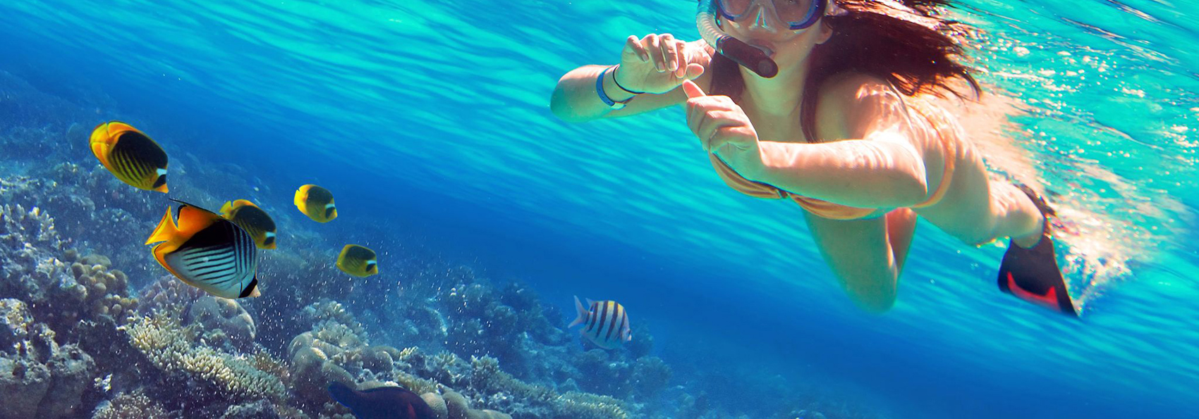 thailand - koh lanta_phi phi_udflugt_02