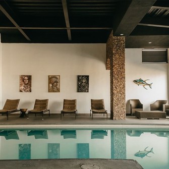 Maria Bonita Chihuahua Pool