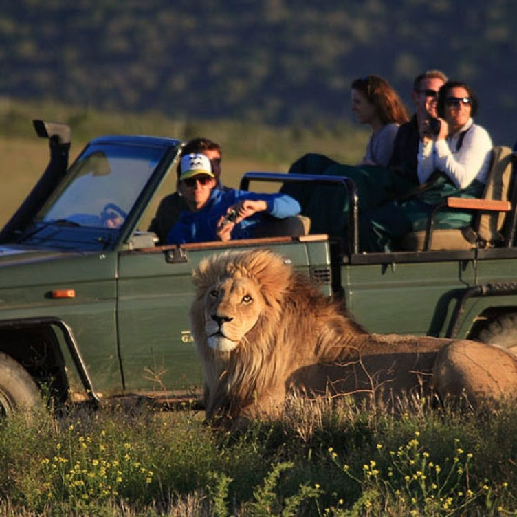 Safarijeep2