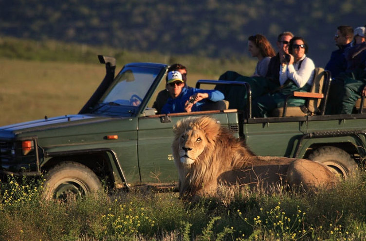 Safarijeep2
