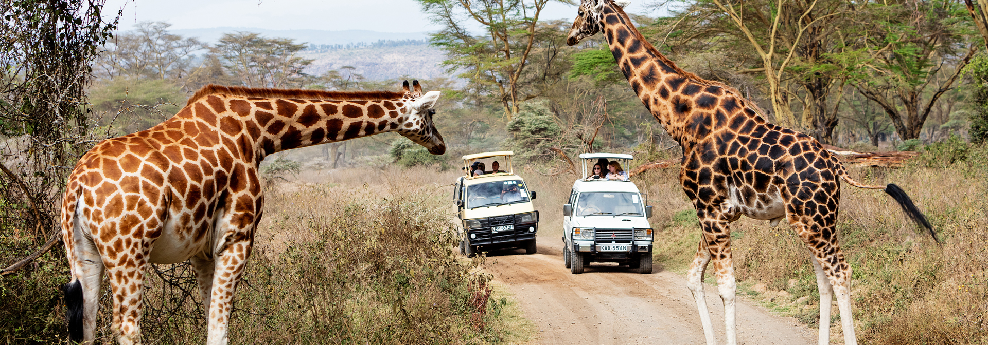 kenya_nakuru_rotschild_giraf_01