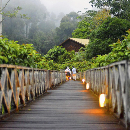 borneo rainforest lodge_udendoers areal_09
