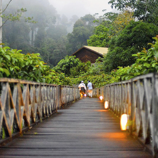 borneo rainforest lodge_udendoers areal_09