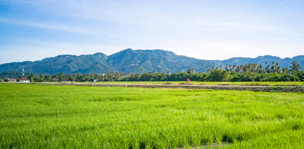 malaysia - penang_rismark_01