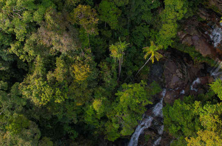 Rompin Rainforest Lodge 07 Slider