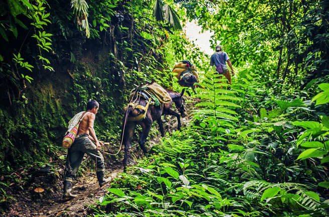 To kvindelige turister, et æsel og en mand på vandring til Lost City i Colombia.