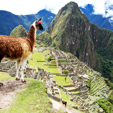 peru - machu picchu_26