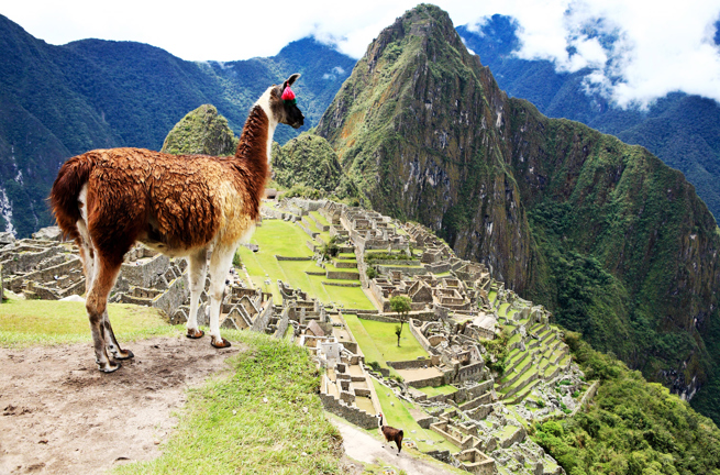 peru - machu picchu_26